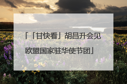 「甘快看」胡昌升会见欧盟国家驻华使节团