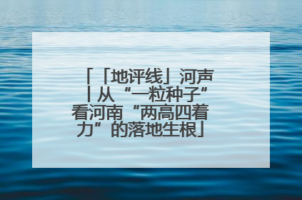 「地评线」河声丨从“一粒种子”看河南“两高四着力”的落地生根