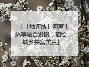 「地评线」河声丨执笔融合发展，描绘城乡共富美景