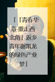 「青春华章·重走西北角」返乡青年谢凯龙的绿色产业梦
