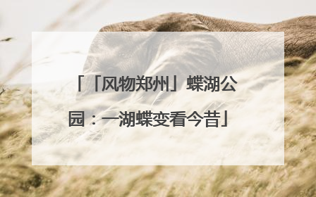 「风物郑州」蝶湖公园：一湖蝶变看今昔