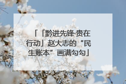 「黔进先锋·贵在行动」赵大志的“民生账本”画满勾勾