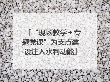“现场教学＋专题党课”为支点建设注入水利动能