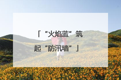 “火焰蓝”筑起“防汛墙”