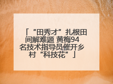 “田秀才”扎根田间解难题 黄梅94名技术指导员催开乡村“科技花”