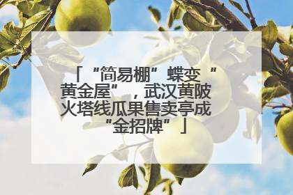 “简易棚”蝶变“黄金屋”，武汉黄陂火塔线瓜果售卖亭成“金招牌”