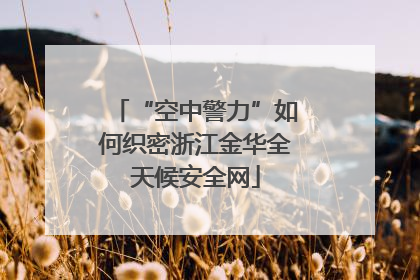 “空中警力”如何织密浙江金华全天候安全网