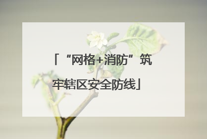 “网格+消防”筑牢辖区安全防线