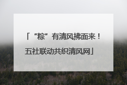 “粽”有清风拂面来！五社联动共织清风网
