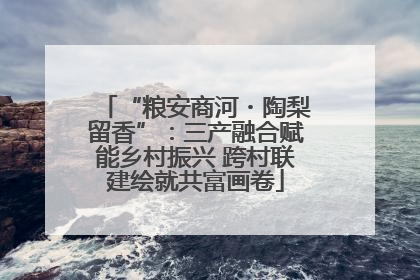 “粮安商河・陶梨留香”：三产融合赋能乡村振兴 跨村联建绘就共富画卷