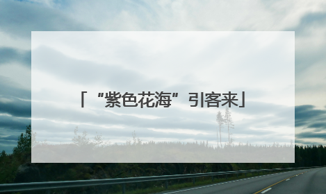“紫色花海”引客来