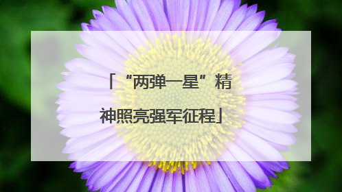 “两弹一星”精神照亮强军征程