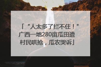 “人太多了拦不住！”广西一地280亩瓜田遭村民哄抢，瓜农哭诉