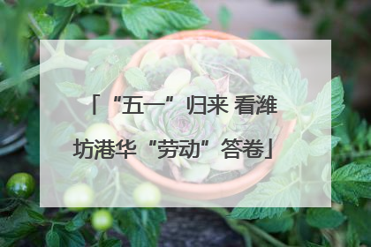 “五一”归来 看潍坊港华“劳动”答卷