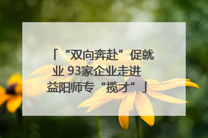 “双向奔赴”促就业 93家企业走进益阳师专“揽才”