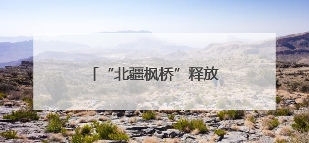 “北疆枫桥”释放基层治理新效能