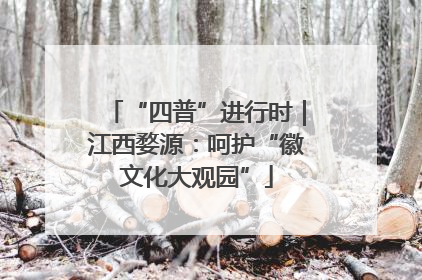 “四普”进行时｜江西婺源：呵护“徽文化大观园”