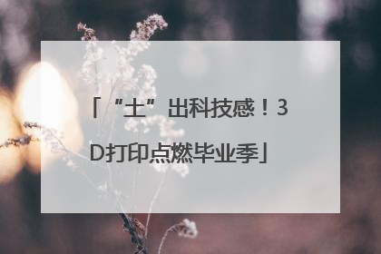 “土”出科技感！3D打印点燃毕业季