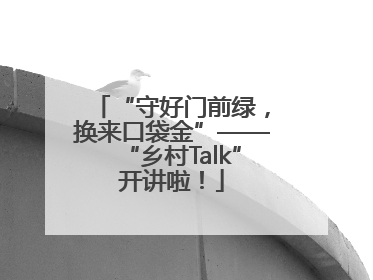 “守好门前绿，换来口袋金”——“乡村Talk”开讲啦！