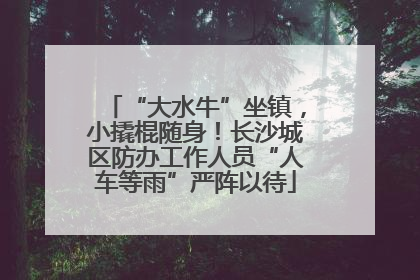 “大水牛”坐镇，小撬棍随身！长沙城区防办工作人员“人车等雨”严阵以待