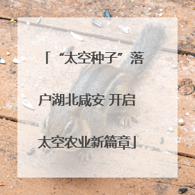 “太空种子”落户湖北咸安 开启太空农业新篇章
