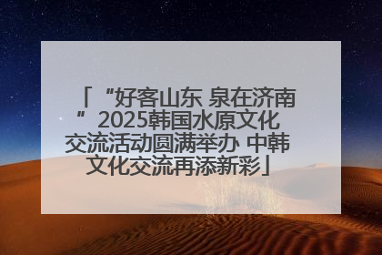 “好客山东 泉在济南”2025韩国水原文化交流活动圆满举办 中韩文化交流再添新彩