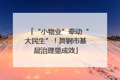 “小物业”牵动“大民生”！舞钢市基层治理显成效