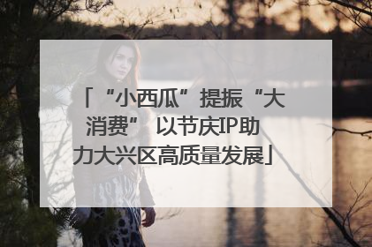 “小西瓜”提振“大消费” 以节庆IP助力大兴区高质量发展