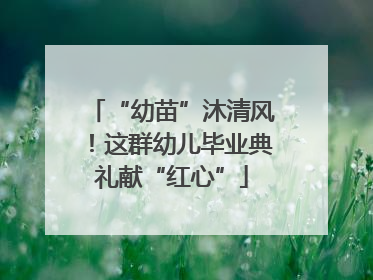 “幼苗”沐清风！这群幼儿毕业典礼献“红心”