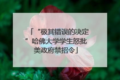 “极其错误的决定”哈佛大学学生怒批美政府禁招令