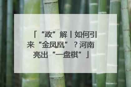 “政”解丨如何引来“金凤凰”？河南亮出“一盘棋”