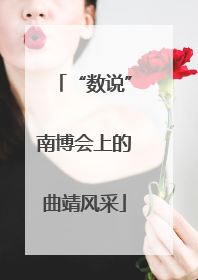 “数说”南博会上的曲靖风采
