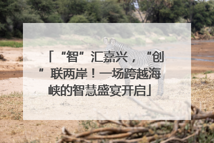 “智”汇嘉兴，“创”联两岸！一场跨越海峡的智慧盛宴开启