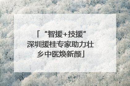 “智援+技援” 深圳援桂专家助力壮乡中医焕新颜