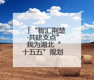 “智汇荆楚·共建支点” 我为湖北“十五五”规划建言献策