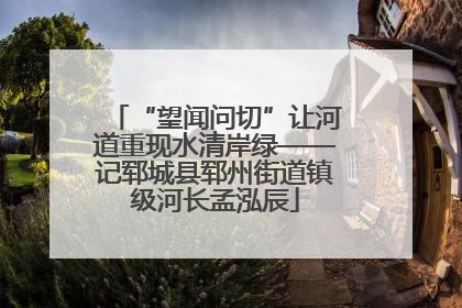 “望闻问切”让河道重现水清岸绿——记郓城县郓州街道镇级河长孟泓辰
