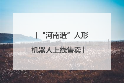 “河南造”人形机器人上线售卖
