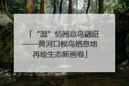 “湿”情画意鸟翩跹——黄河口候鸟栖息地再绘生态新画卷