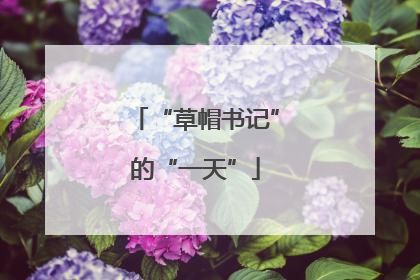 “草帽书记”的“一天”