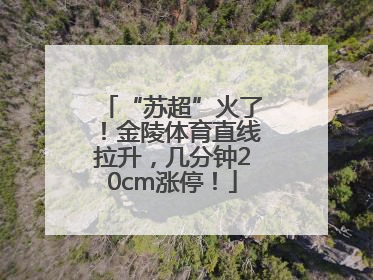 “苏超”火了！金陵体育直线拉升，几分钟20cm涨停！