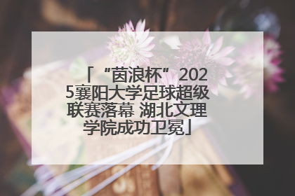 “茵浪杯”2025襄阳大学足球超级联赛落幕 湖北文理学院成功卫冕