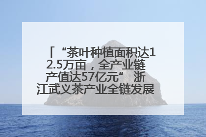 “茶叶种植面积达12.5万亩，全产业链产值达57亿元” 浙江武义茶产业全链发展“加速度”