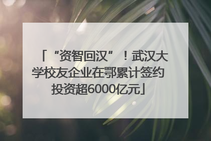 “资智回汉”！武汉大学校友企业在鄂累计签约投资超6000亿元