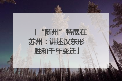 “随州”特展在苏州：讲述汉东形胜和千年变迁