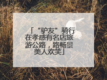 “驴友”骑行在孝感有名店旅游公路，路畅景美人欢笑