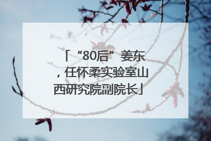 “80后”姜东，任怀柔实验室山西研究院副院长