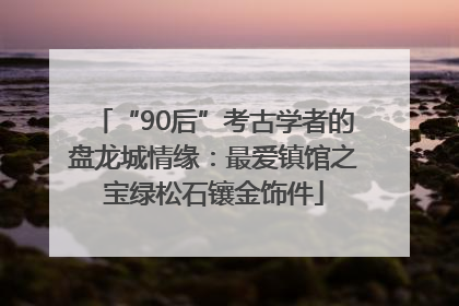 “90后”考古学者的盘龙城情缘：最爱镇馆之宝绿松石镶金饰件