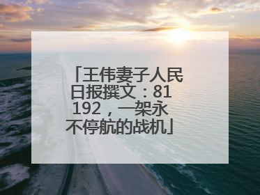 王伟妻子人民日报撰文：81192，一架永不停航的战机