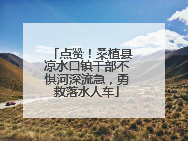 点赞！桑植县凉水口镇干部不惧河深流急，勇救落水人车