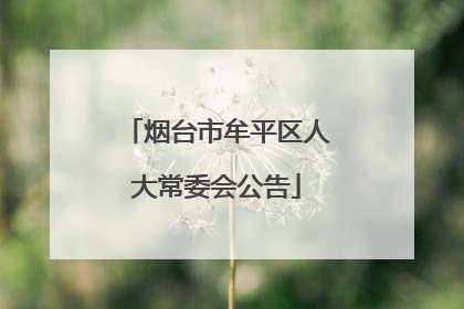 烟台市牟平区人大常委会公告